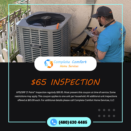 $65 Inspection